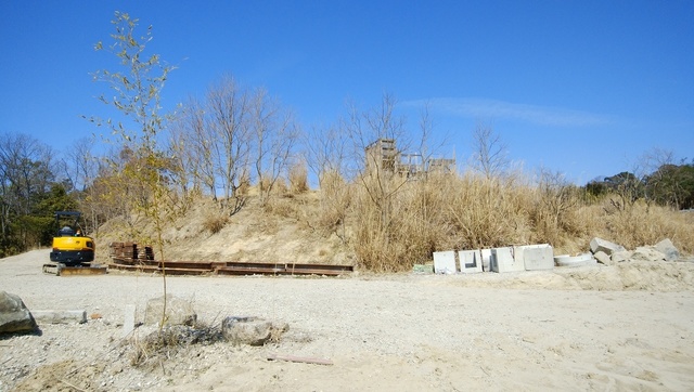 DSC_0659.jpg