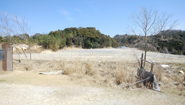 DSC_0660.jpg